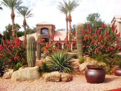 One finalist, Xeriscapes Unlimited, from TLC’s Landscaper of the Year program specializes in xeriscaping.