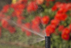 Photo Credit: Rain Bird