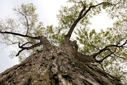 Source: www.now.uiowa.edu