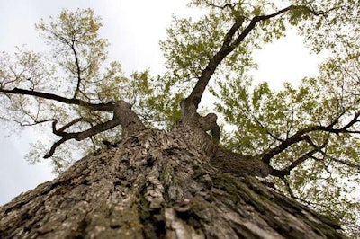 Source: www.now.uiowa.edu