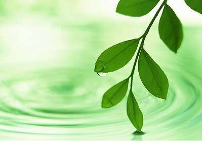 eco-friendly-beauty-products