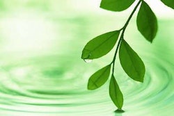 eco-friendly-beauty-products