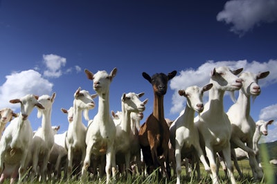 Photo Credit: University of Wisconsin-Extension, Cooperative Extension