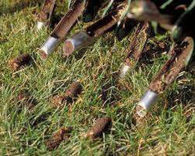 Source: Aerate-Lawn