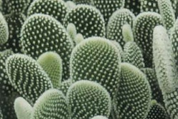 Source: How Stuff Works