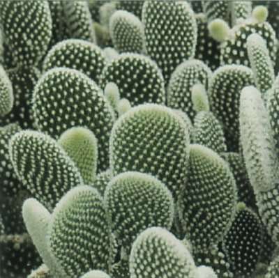 Source: How Stuff Works