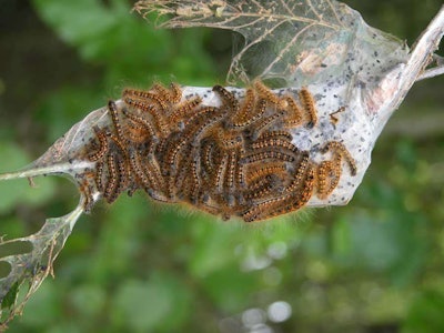 Source: Washington State Department of Agriculture