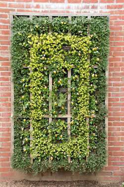 Source: Chicago Botanical Garden