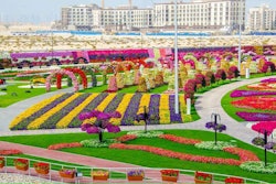 Dubai Miracle Garden