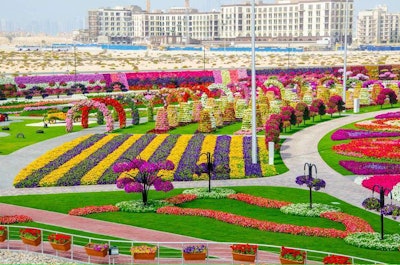 Dubai Miracle Garden