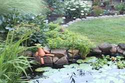 Photo: bloomingtongardenclub.com