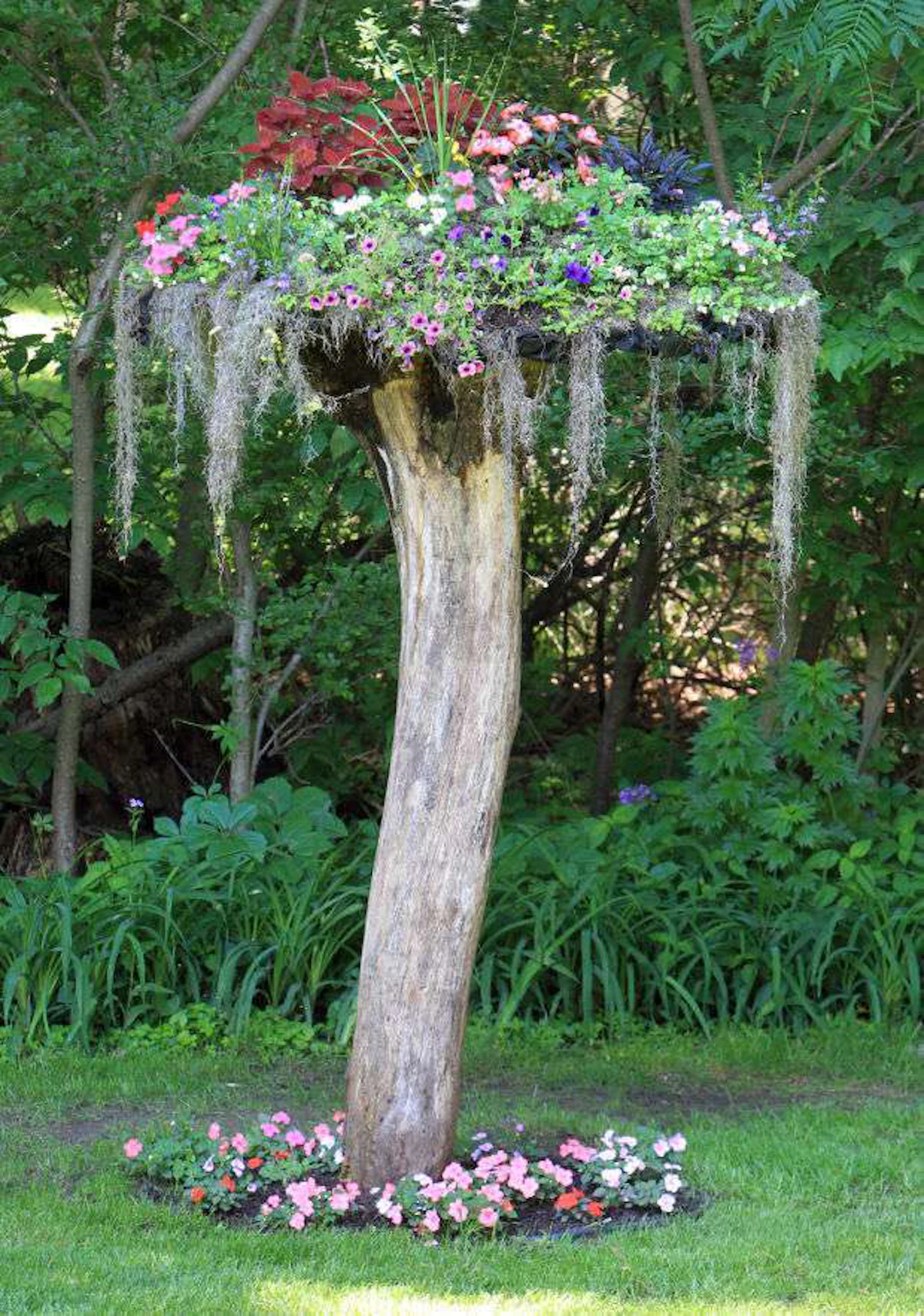 Bottoms Up for Dead Trees | Total Landscape Care