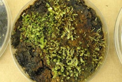 Catherine La Farge, University of Alberta