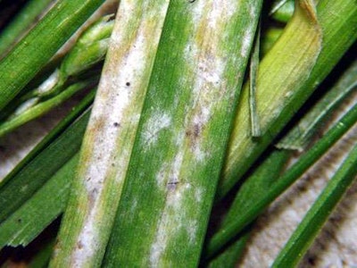 Iowa State University Extension and Outreach