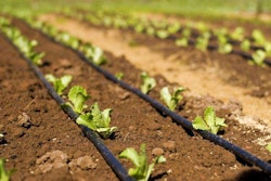 Photo: marketresearchreports.com