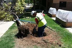 Monte Vista May 2013 Crop