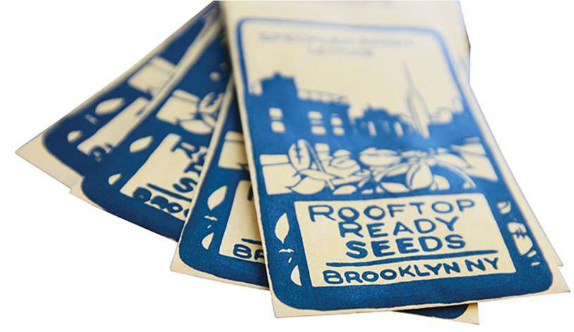 OPENER_Rooftop_Ready_seeds