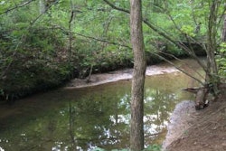 Pond
