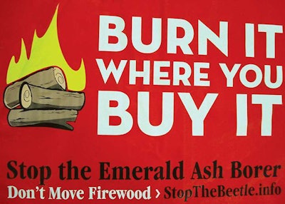 In most areas with EAB, quarantines exist that prohibit moving firewood, which could help slow the spread of EAB. Photo: Kenneth R. Law, USDA APHIS PPQ, Bugwood.org