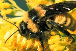 Photo: eduwebs.org