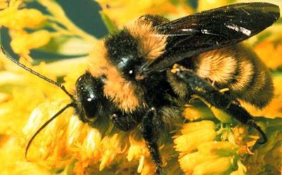 Photo: eduwebs.org