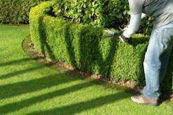 gI_128928_landscaper insurance