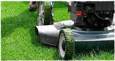 Photo: swfwmd.state.fl.us