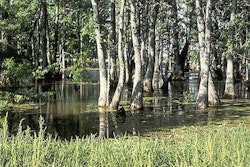 Photo: nrcs.usda.gov