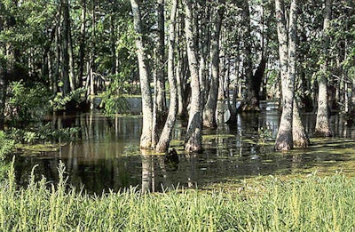 Photo: nrcs.usda.gov