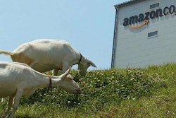 606x341_230950_amazon-hires-goats-for-offic