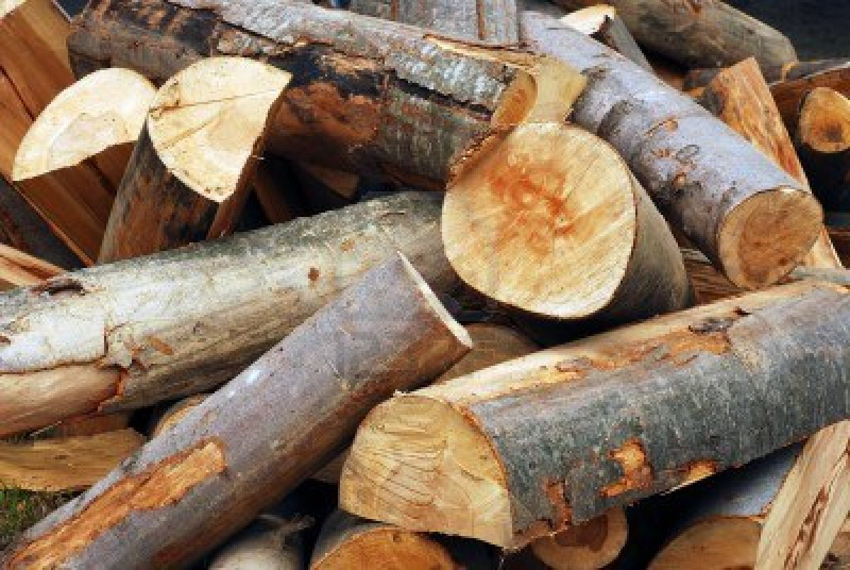9938730-wood-logs