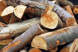 9938730-wood-logs