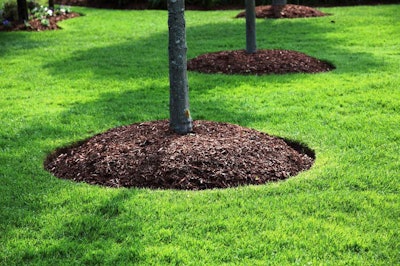 Mulch