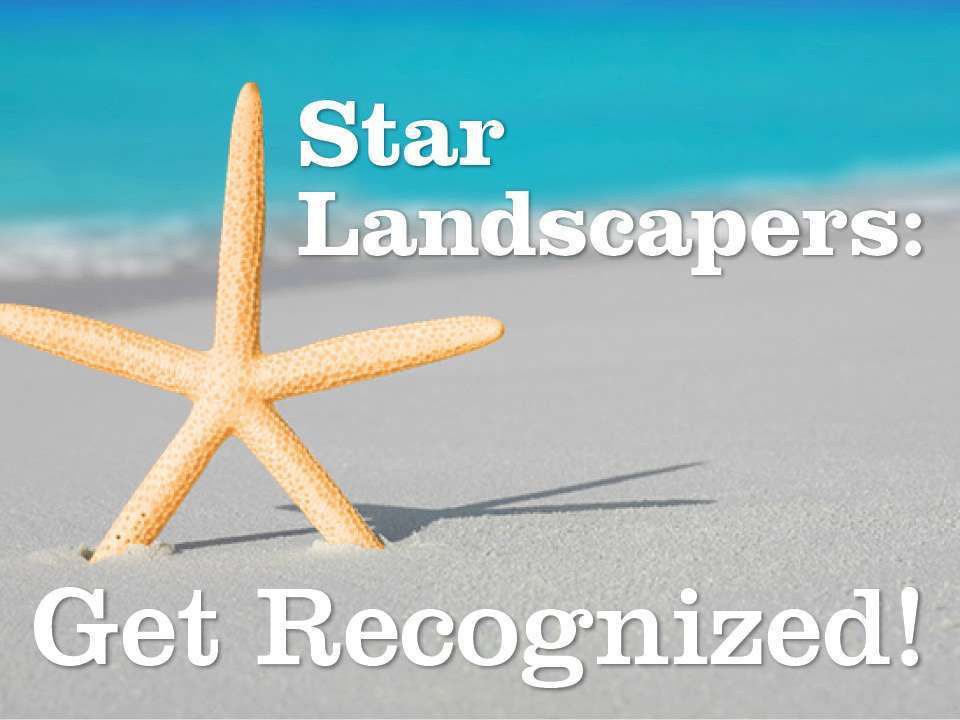 Star Landscaper of the Year