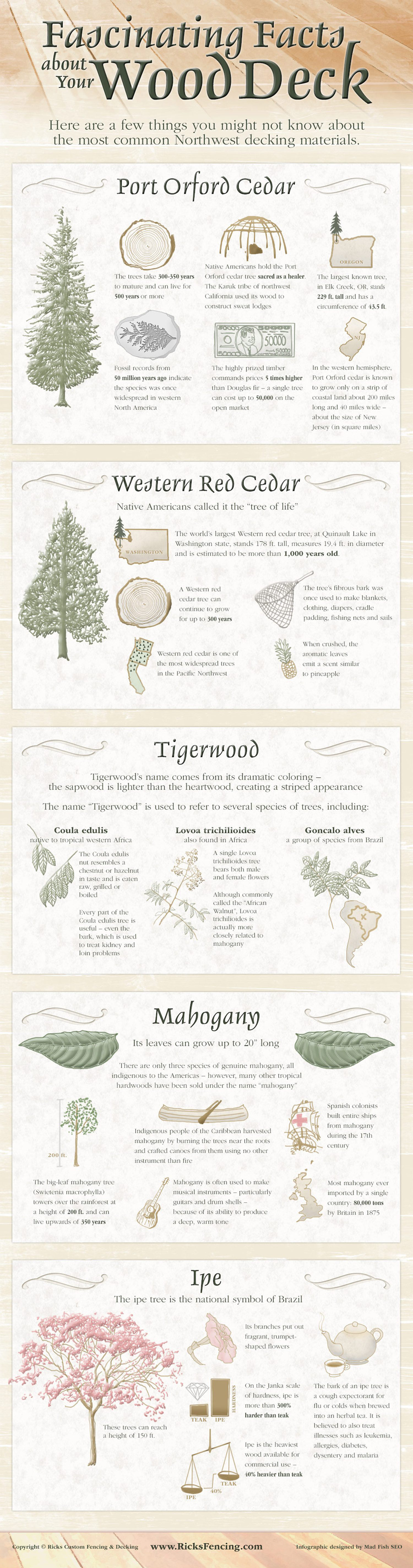 Fascinating Facts About Your Wood Deck Infographic