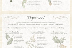 Fascinating Facts About Your Wood Deck Infographic