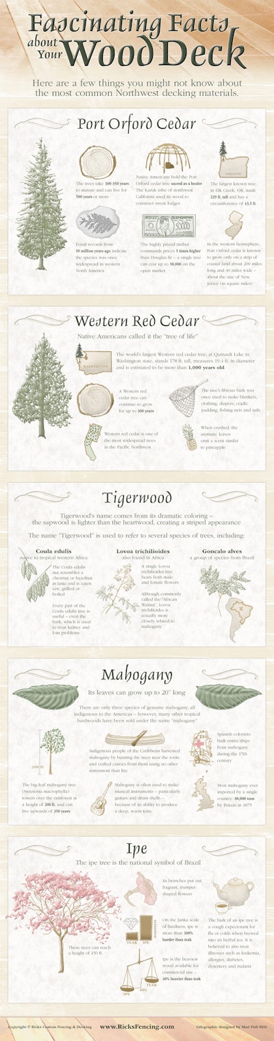 Fascinating Facts About Your Wood Deck Infographic