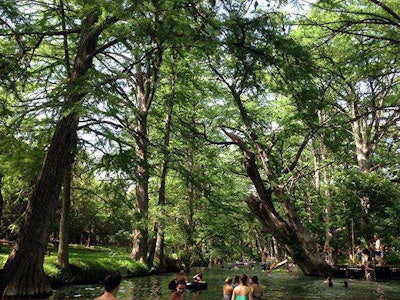 Blue Hole Regional Park Wimberley, Texas