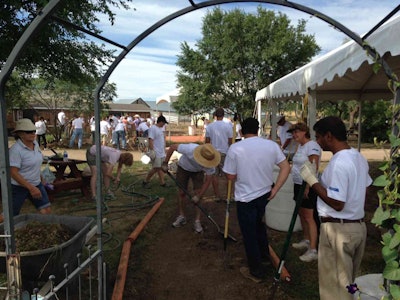 Bayer Zuma's - Restoration 2