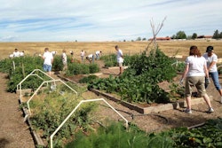 Bayer Zuma's - Restoration