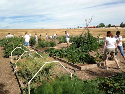 Bayer Zuma's - Restoration