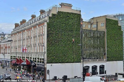 Green Wall UK