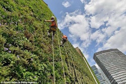 London Green Wall