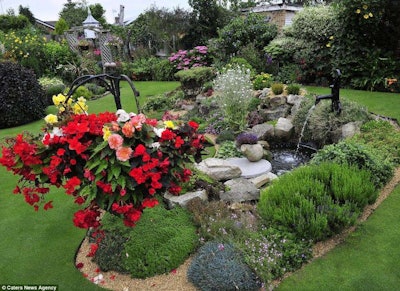 UK Plants