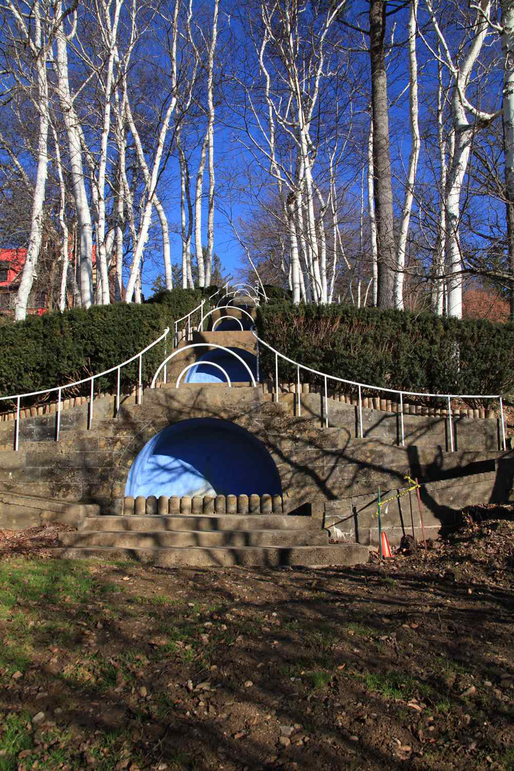 blue-steps-today-hires