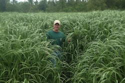 Certified Marsh Grass Varieties, RES’ ERS Nursery, Pointe Aux Chenes, Louisiana