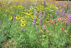 Photo: www.sandallpark.org.uk