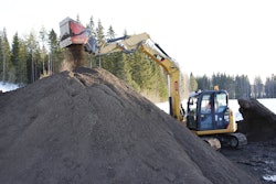 DL Screener_In Action