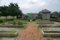 Before shot of the site where volunteers will be working Wednesday