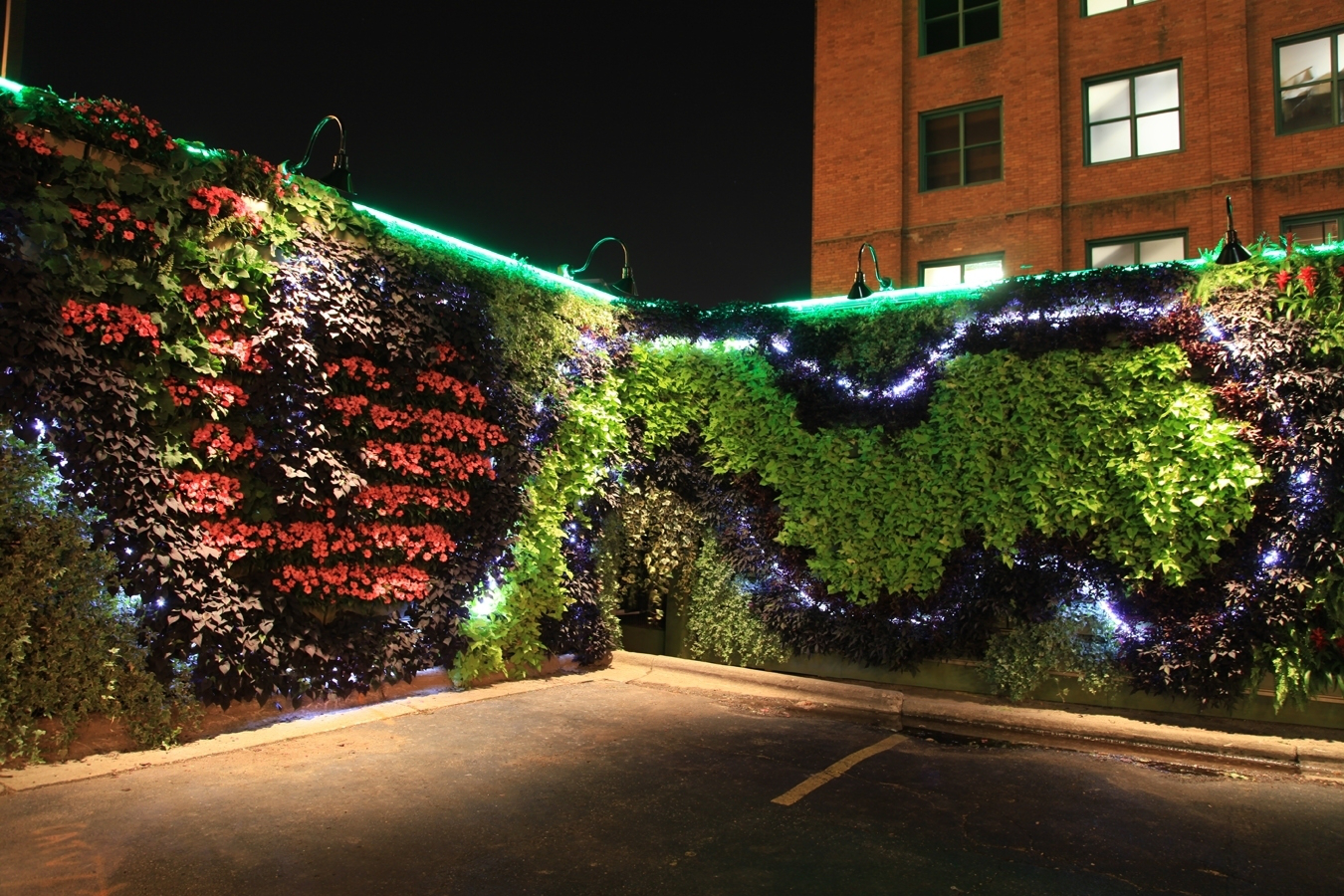LiveWall-green-wall-at-night